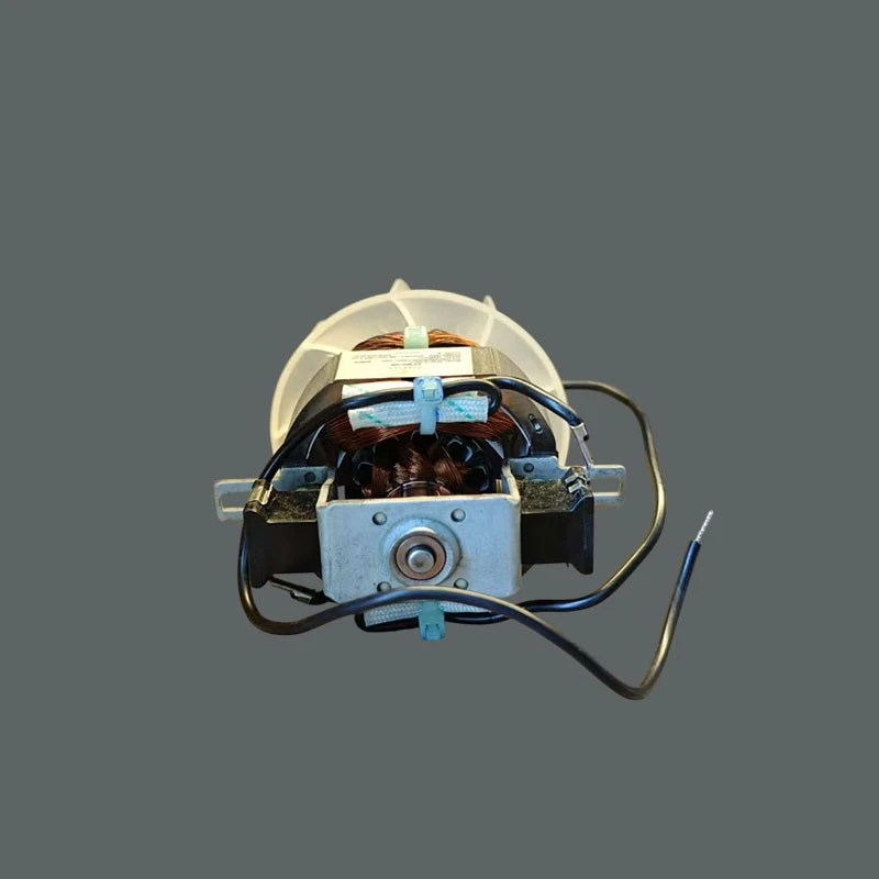 High-powered Hair Dryer Motor factory
