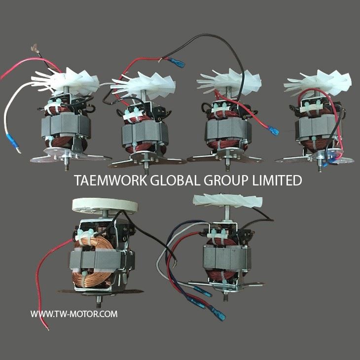 China Juice Blender Motor