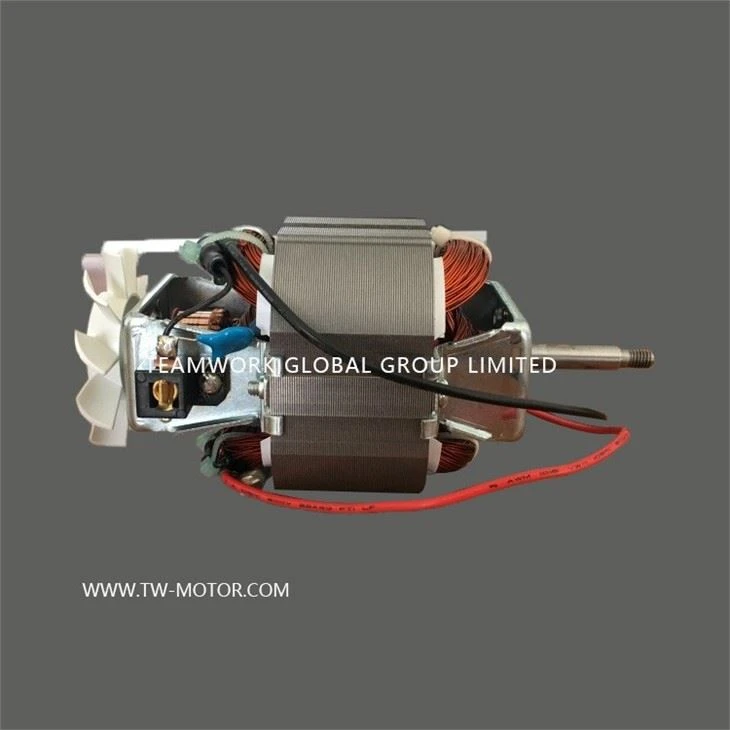 Home Grinder Motor