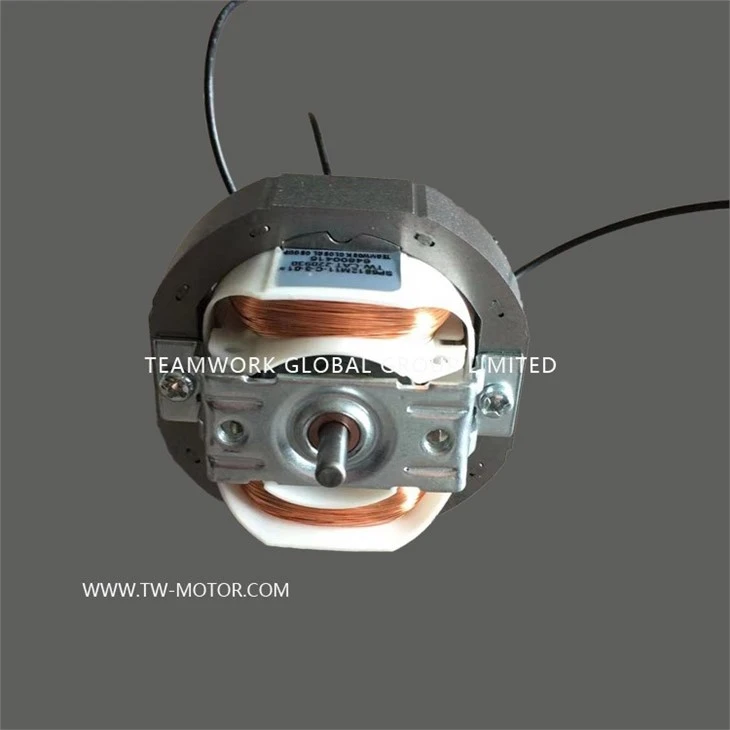 Toilet Ventilation Fan Motor