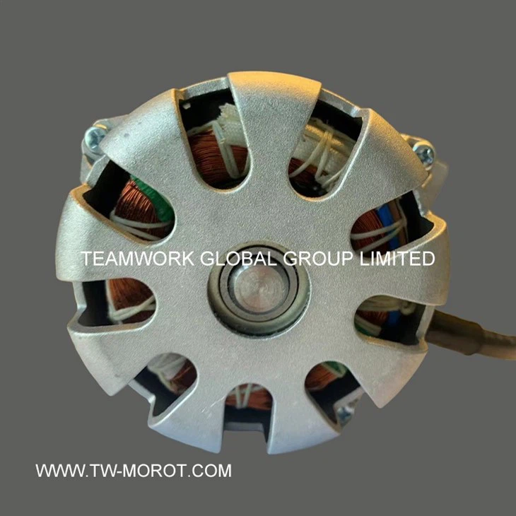 Food Slicer Motor