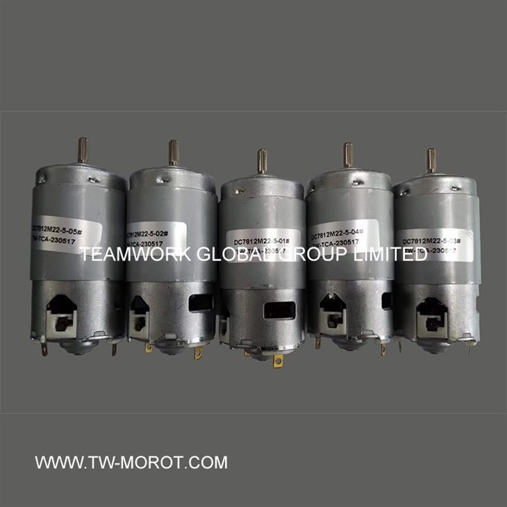 Hand Blender DC Motor